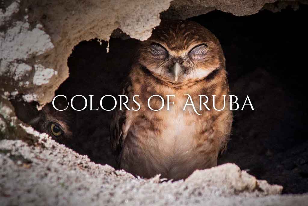 Colors of Aruba - Laura Wagenaars